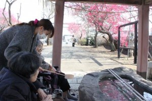 手水舎の水盆に浮かぶ梅花