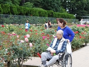 深大植物公園のバラ園にて